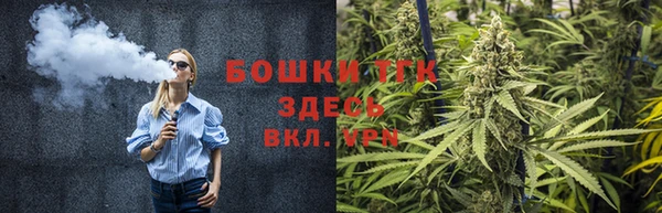 дмт Алзамай