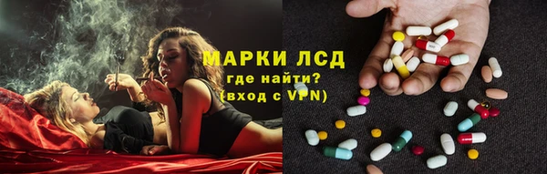 дмт Алзамай
